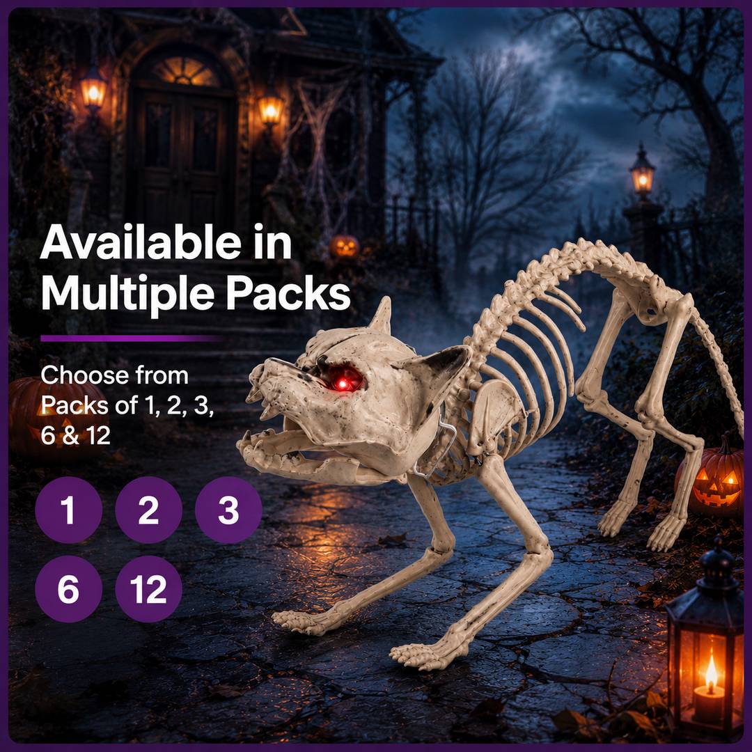 SKELETON CAT -
