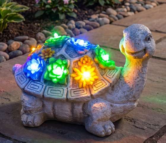 solar-turtle- ain