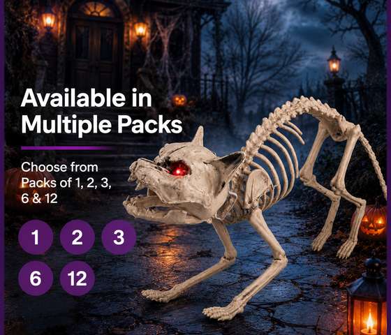 SKELETON CAT -