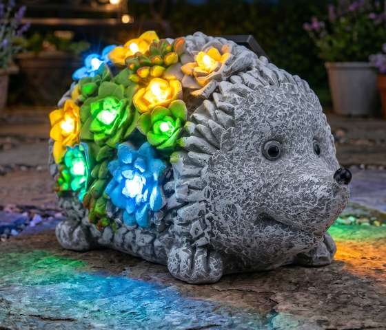 hedgehog-main